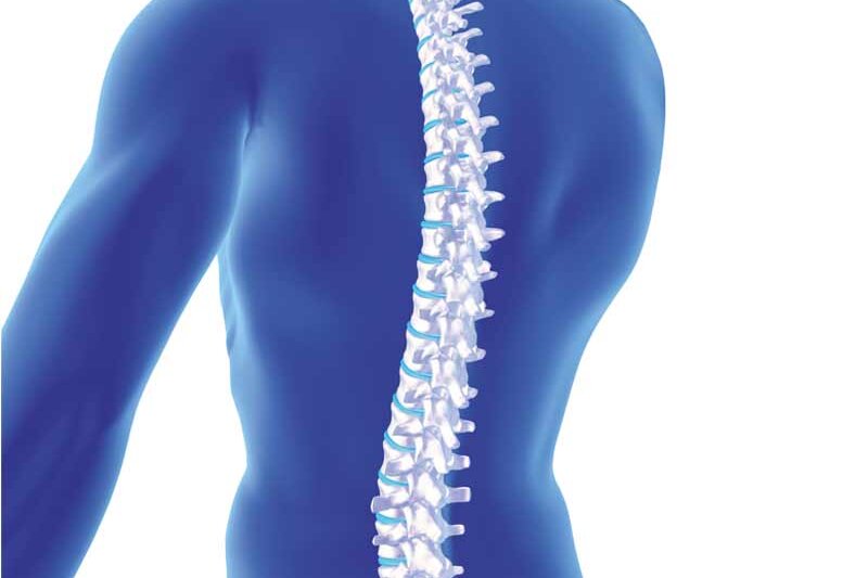 Online courses Spinal Orthoses